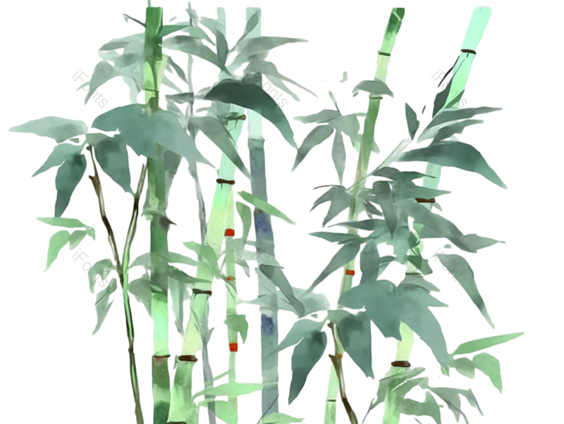 叶子图片,元素元素,插画PNG,竹子免抠素材